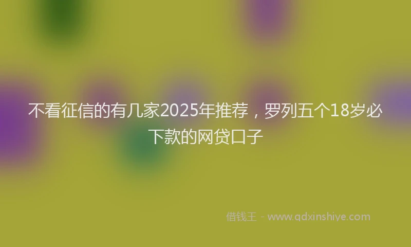 不看征信的有几家2025年推荐，罗列五个18岁必下款的网贷口子