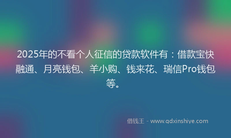 2025年的不看个人征信的贷款软件有：借款宝快融通、月亮钱包、羊小购、钱来花、瑞信Pro钱包等。