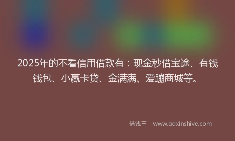 2025年的不看信用借款有：现金秒借宝途、有钱钱包、小赢卡贷、金满满、爱蹦商城等。