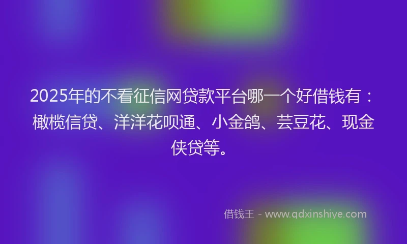 2025年的不看征信网贷款平台哪一个好借钱有：橄榄信贷、洋洋花呗通、小金鸽、芸豆花、现金侠贷等。