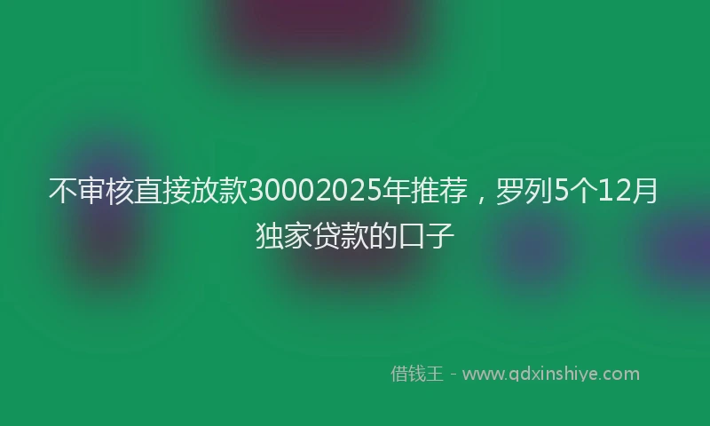 不审核直接放款30002025年推荐，罗列5个12月独家贷款的口子
