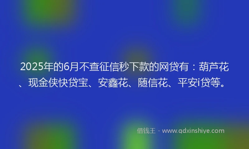 2025年的6月不查征信秒下款的网贷有：葫芦花、现金侠快贷宝、安鑫花、随信花、平安i贷等。