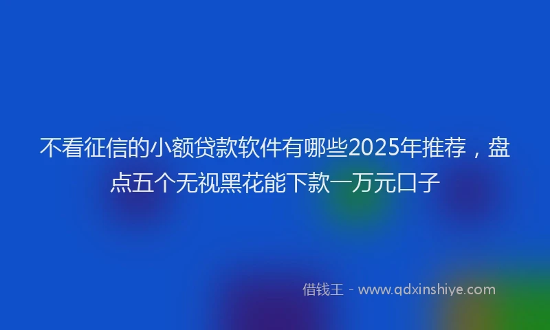 不看征信的小额贷款软件有哪些2025年推荐，盘点五个无视黑花能下款一万元口子