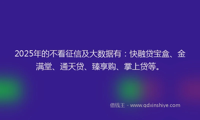 2025年的不看征信及大数据有：快融贷宝盒、金满堂、通天贷、臻享购、掌上贷等。