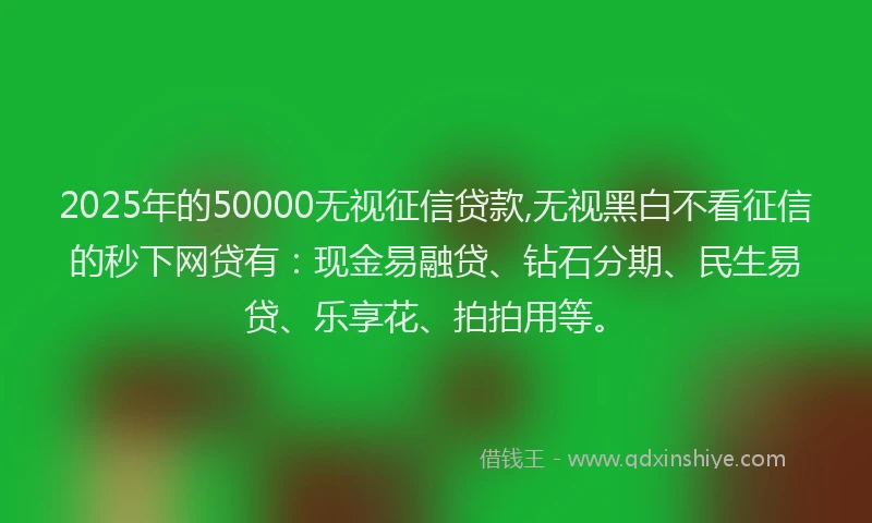 2025年的50000无视征信贷款,无视黑白不看征信的秒下网贷有：现金易融贷、钻石分期、民生易贷、乐享花、拍拍用等。