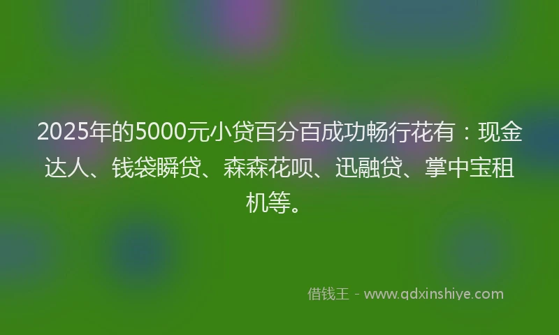 2025年的5000元小贷百分百成功畅行花有：现金达人、钱袋瞬贷、森森花呗、迅融贷、掌中宝租机等。