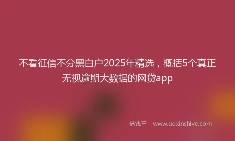 不看征信不分黑白户2025年精选，概括5个真正无视逾期大数据的网贷app
