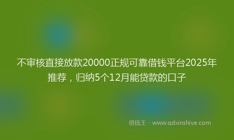 不审核直接放款20000正规可靠借钱平台2025年推荐，归纳5个12月能贷款的口子