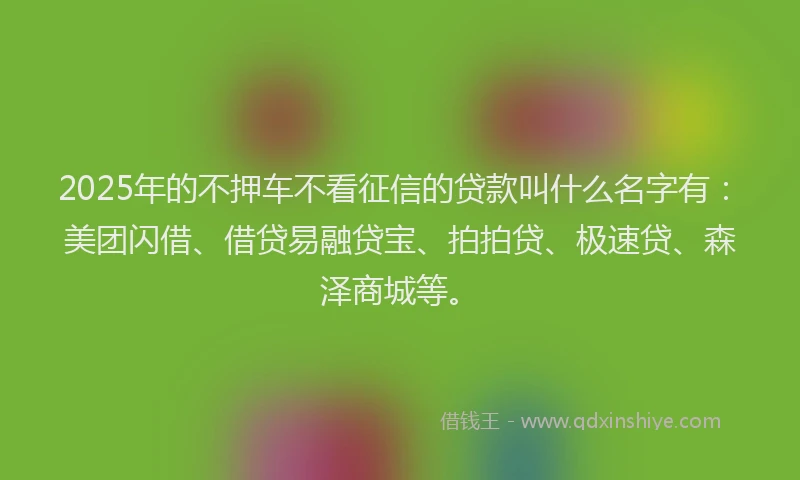 2025年的不押车不看征信的贷款叫什么名字有：美团闪借、借贷易融贷宝、拍拍贷、极速贷、森泽商城等。