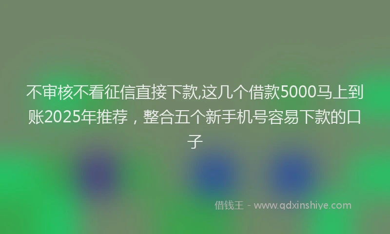 不审核不看征信直接下款,这几个借款5000马上到账2025年推荐，整合五个新手机号容易下款的口子
