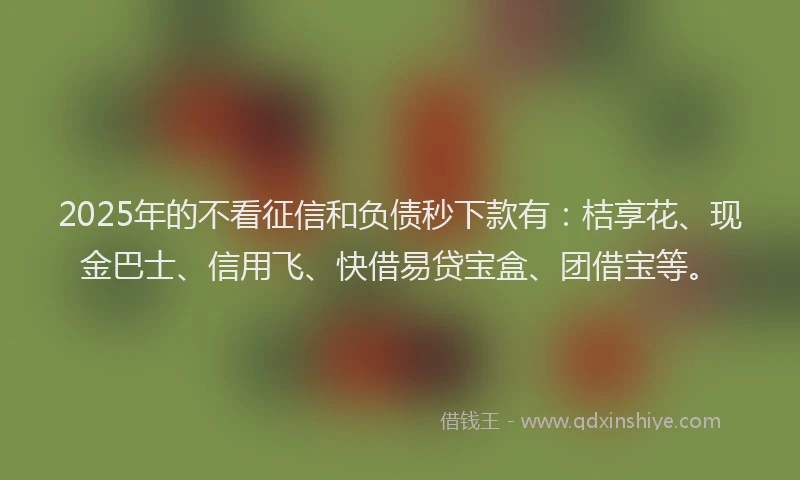 2025年的不看征信和负债秒下款有：桔享花、现金巴士、信用飞、快借易贷宝盒、团借宝等。
