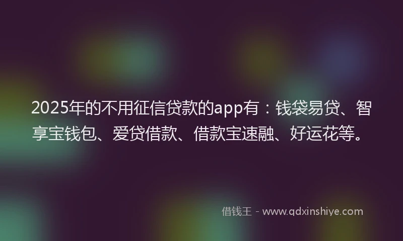2025年的不用征信贷款的app有：钱袋易贷、智享宝钱包、爱贷借款、借款宝速融、好运花等。