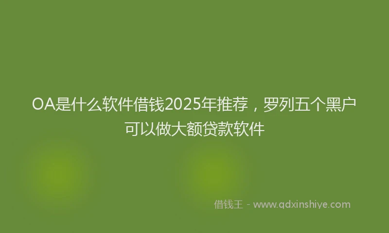 OA是什么软件借钱2025年推荐，罗列五个黑户可以做大额贷款软件
