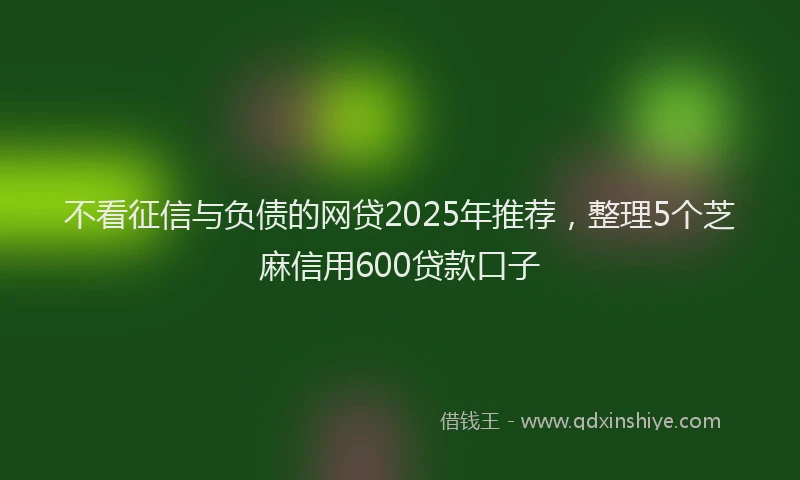 不看征信与负债的网贷2025年推荐，整理5个芝麻信用600贷款口子