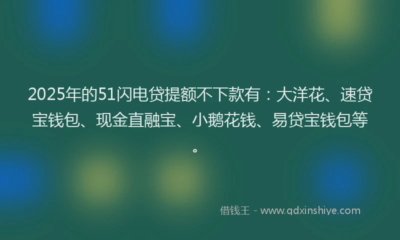 2025年的51闪电贷提额不下款有：大洋花、速贷宝钱包、现金直融宝、小鹅花钱、易贷宝钱包等。