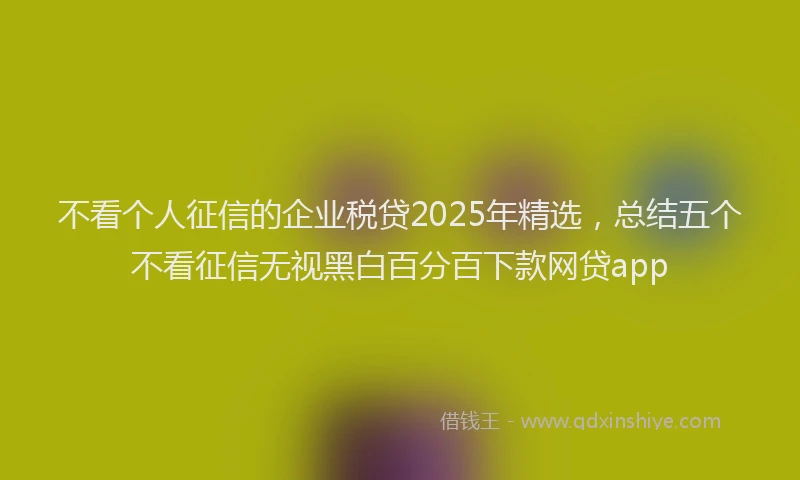不看个人征信的企业税贷2025年精选，总结五个不看征信无视黑白百分百下款网贷app