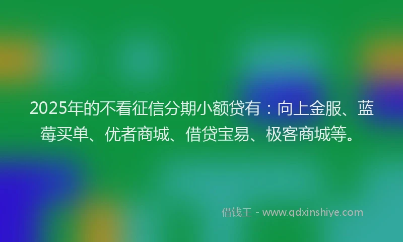 2025年的不看征信分期小额贷有：向上金服、蓝莓买单、优者商城、借贷宝易、极客商城等。