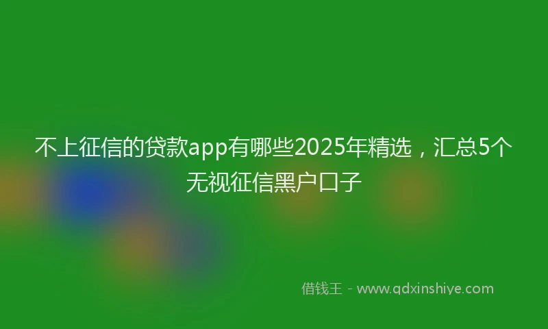 不上征信的贷款app有哪些2025年精选，汇总5个无视征信黑户口子