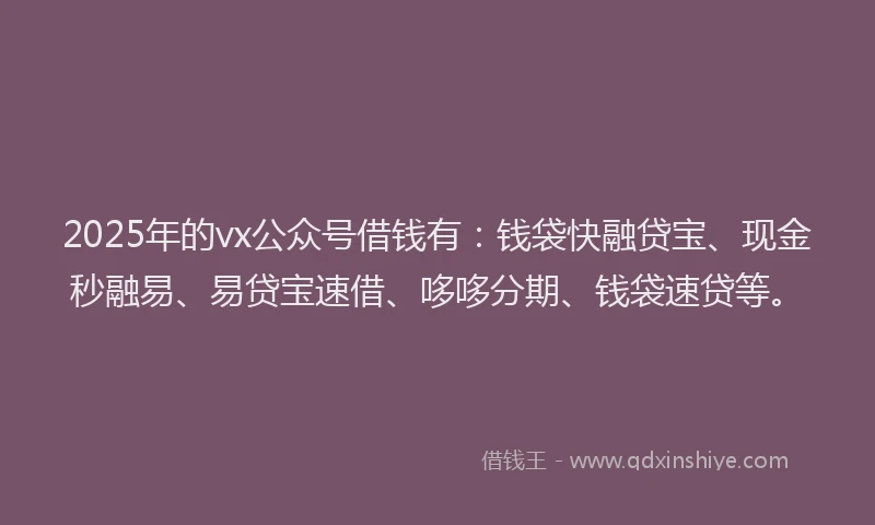 2025年的vx公众号借钱有：钱袋快融贷宝、现金秒融易、易贷宝速借、哆哆分期、钱袋速贷等。