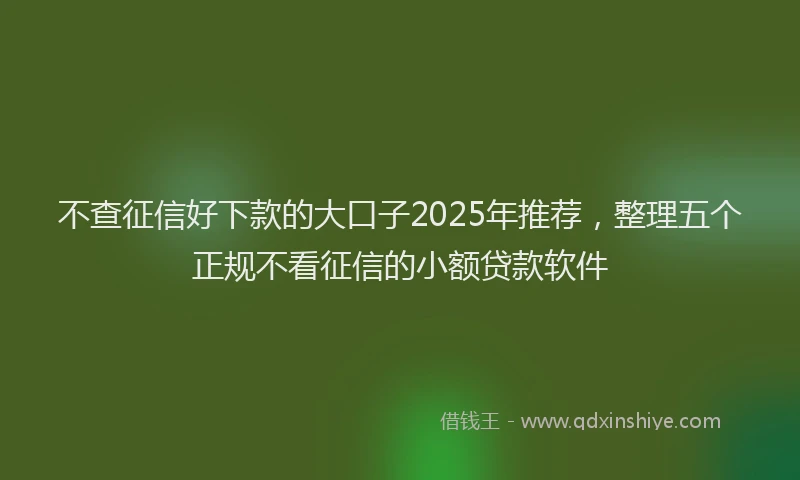 不查征信好下款的大口子2025年推荐，整理五个正规不看征信的小额贷款软件