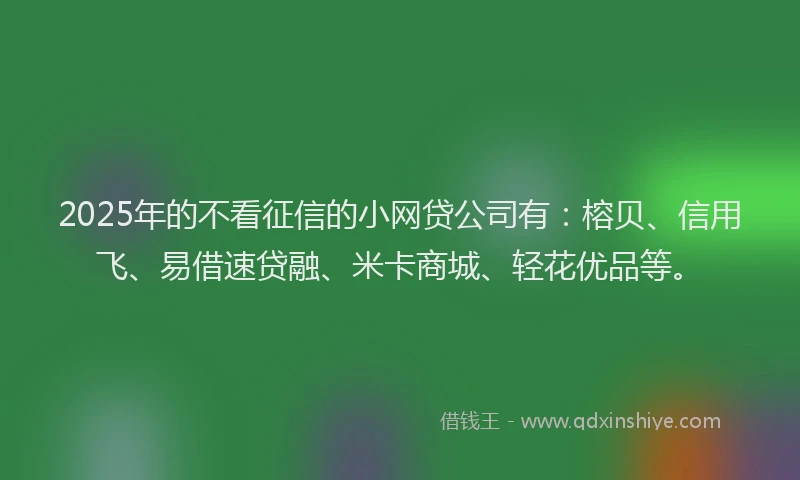 2025年的不看征信的小网贷公司有：榕贝、信用飞、易借速贷融、米卡商城、轻花优品等。