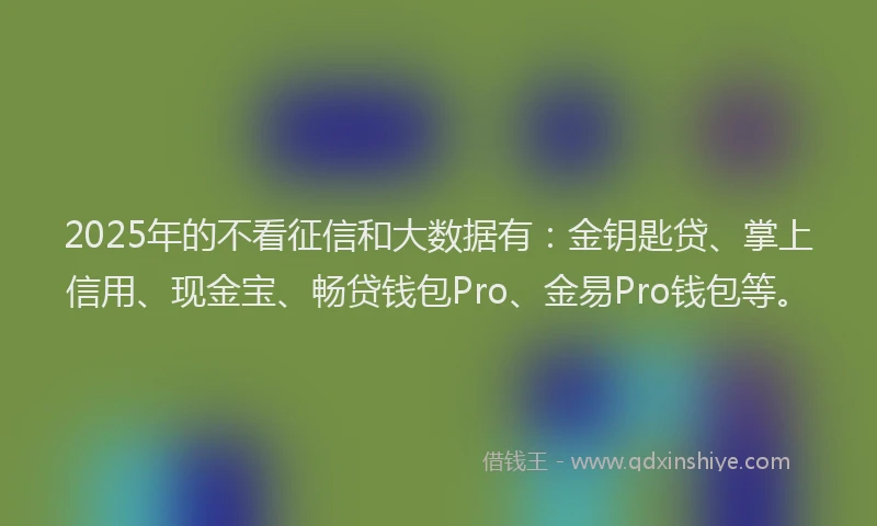 2025年的不看征信和大数据有：金钥匙贷、掌上信用、现金宝、畅贷钱包Pro、金易Pro钱包等。