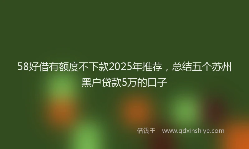 58好借有额度不下款2025年推荐，总结五个苏州黑户贷款5万的口子