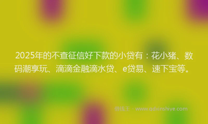2025年的不查征信好下款的小贷有：花小猪、数码潮享玩、滴滴金融滴水贷、e贷易、速下宝等。