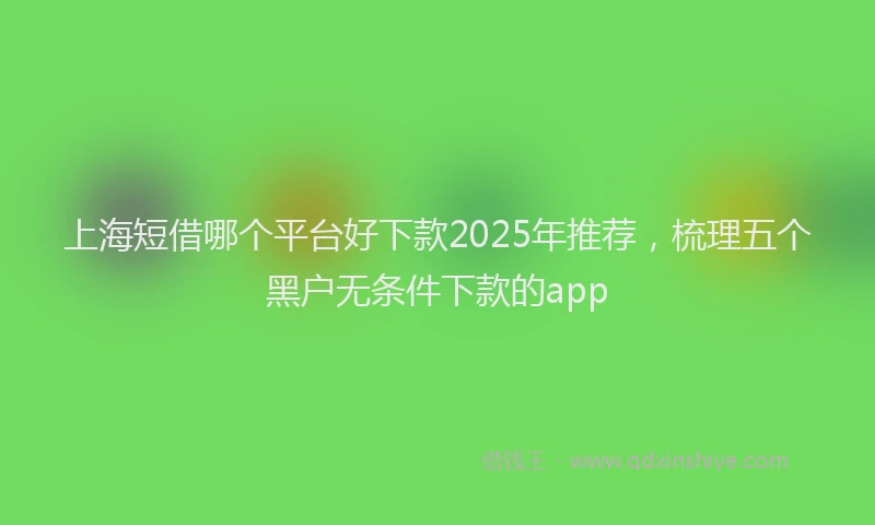 上海短借哪个平台好下款2025年推荐，梳理五个黑户无条件下款的app