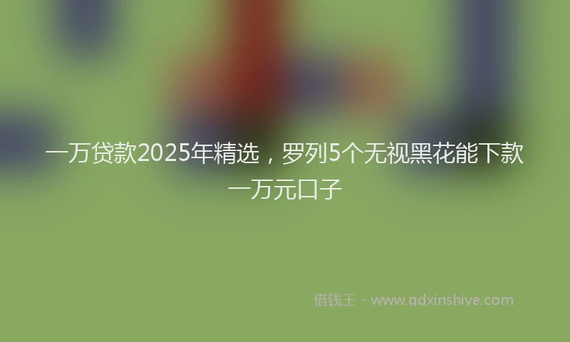一万贷款2025年精选，罗列5个无视黑花能下款一万元口子