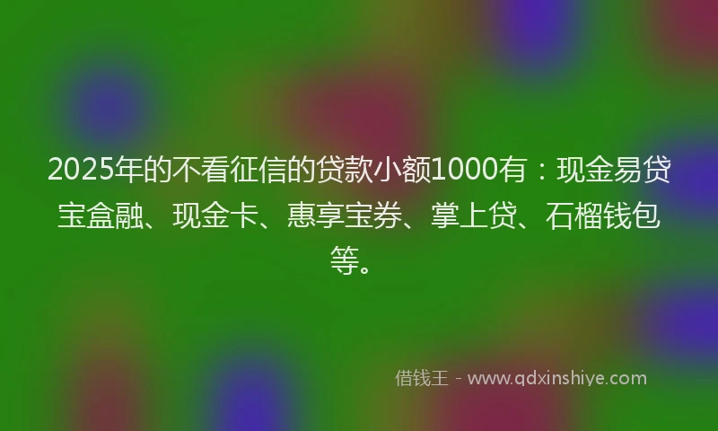 2025年的不看征信的贷款小额1000有：现金易贷宝盒融、现金卡、惠享宝券、掌上贷、石榴钱包等。