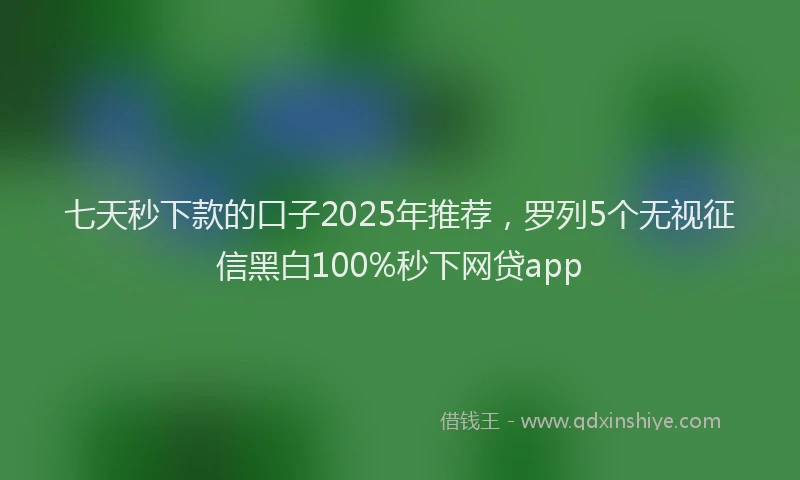 七天秒下款的口子2025年推荐，罗列5个无视征信黑白100%秒下网贷app