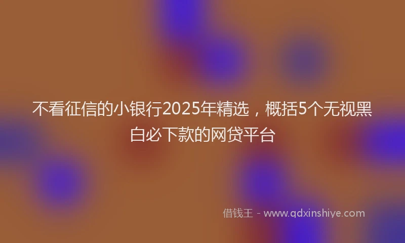 不看征信的小银行2025年精选，概括5个无视黑白必下款的网贷平台