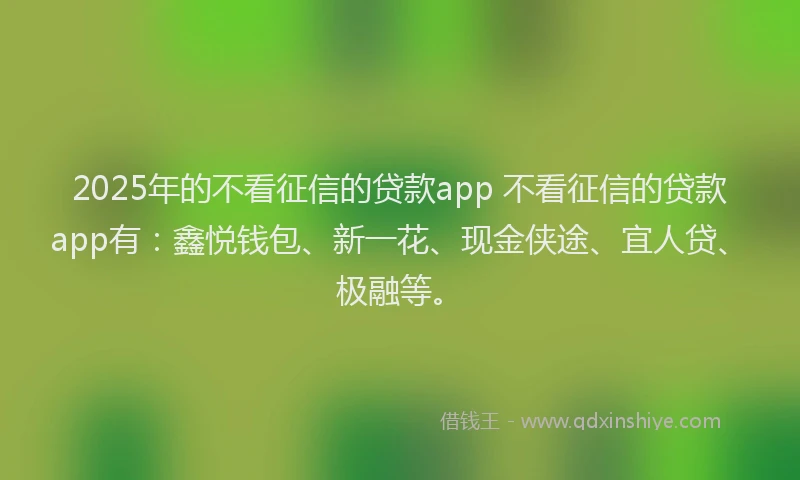 2025年的不看征信的贷款app 不看征信的贷款app有：鑫悦钱包、新一花、现金侠途、宜人贷、极融等。