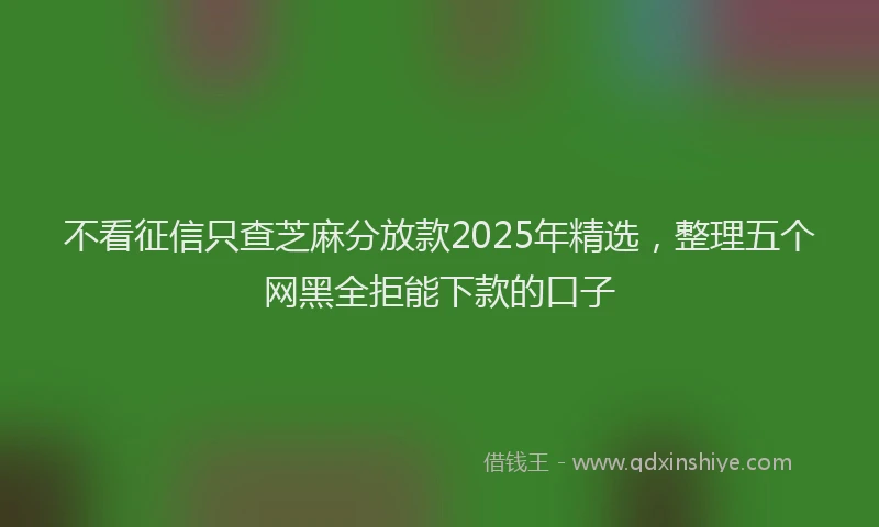 不看征信只查芝麻分放款2025年精选，整理五个网黑全拒能下款的口子