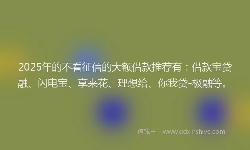 2025年的不看征信的大额借款推荐有：借款宝贷融、闪电宝、享来花、理想给、你我贷-极融等。