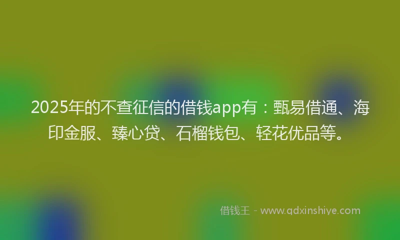 2025年的不查征信的借钱app有：甄易借通、海印金服、臻心贷、石榴钱包、轻花优品等。