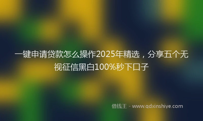 一键申请贷款怎么操作2025年精选，分享五个无视征信黑白100%秒下口子