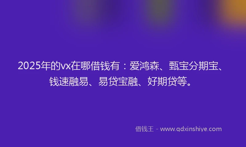 2025年的vx在哪借钱有：爱鸿森、甄宝分期宝、钱速融易、易贷宝融、好期贷等。