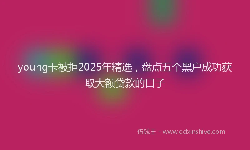 young卡被拒2025年精选，盘点五个黑户成功获取大额贷款的口子