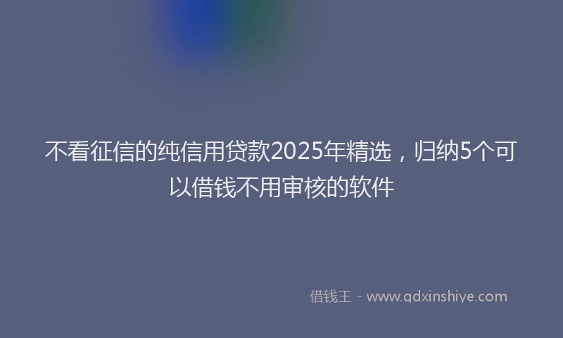 不看征信的纯信用贷款2025年精选，归纳5个可以借钱不用审核的软件