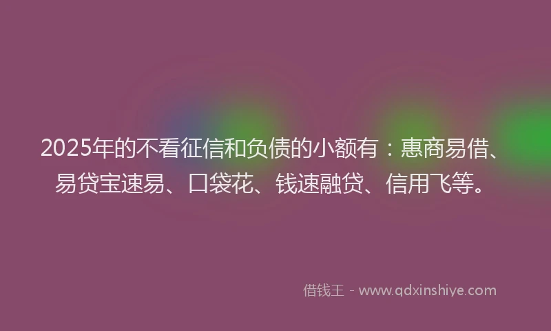 2025年的不看征信和负债的小额有：惠商易借、易贷宝速易、口袋花、钱速融贷、信用飞等。