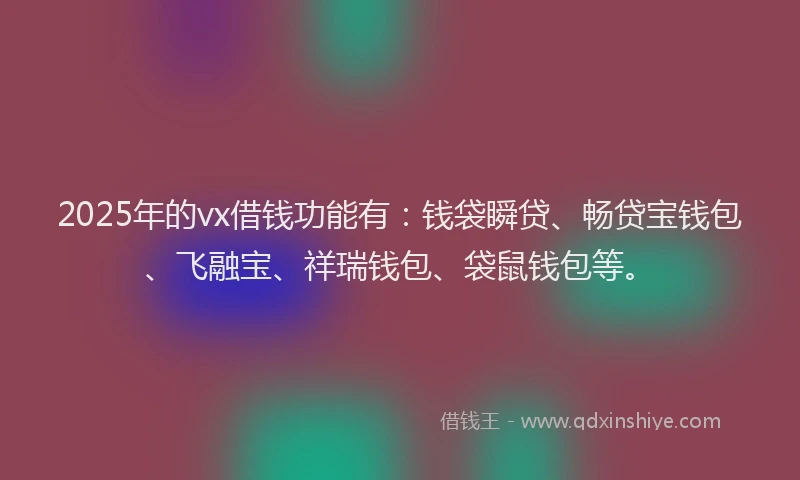 2025年的vx借钱功能有：钱袋瞬贷、畅贷宝钱包、飞融宝、祥瑞钱包、袋鼠钱包等。