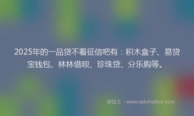 2025年的一品贷不看征信吧有：积木盒子、易贷宝钱包、林林借呗、珍珠贷、分乐购等。