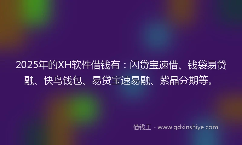 2025年的XH软件借钱有：闪贷宝速借、钱袋易贷融、快鸟钱包、易贷宝速易融、紫晶分期等。