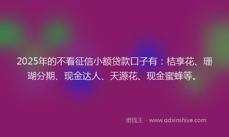 2025年的不看征信小额贷款口子有：桔享花、珊瑚分期、现金达人、天源花、现金蜜蜂等。