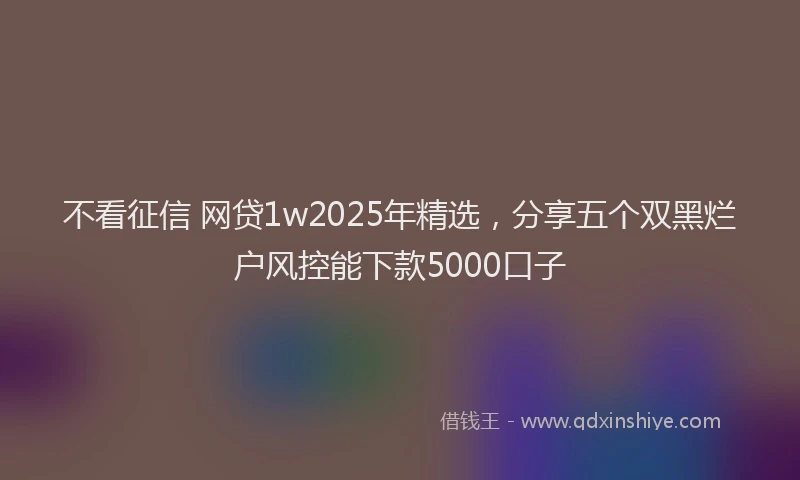 不看征信 网贷1w2025年精选，分享五个双黑烂户风控能下款5000口子