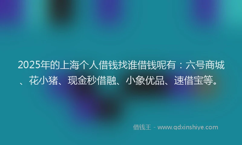2025年的上海个人借钱找谁借钱呢有：六号商城、花小猪、现金秒借融、小象优品、速借宝等。