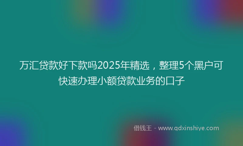 万汇贷款好下款吗2025年精选，整理5个黑户可快速办理小额贷款业务的口子