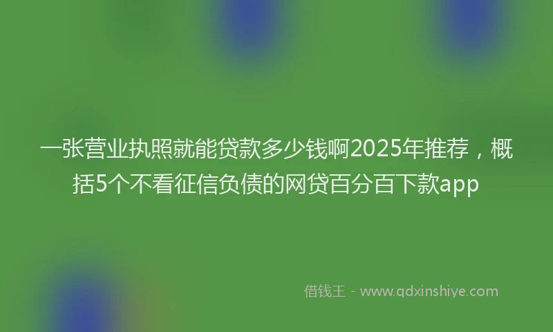 一张营业执照就能贷款多少钱啊2025年推荐，概括5个不看征信负债的网贷百分百下款app